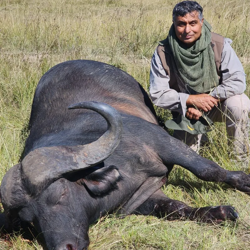 Badar Uz Zaman, Vice President of the chapter, in a khaki field vest and green scarf, kneeling in tall grass beside a buffalo.